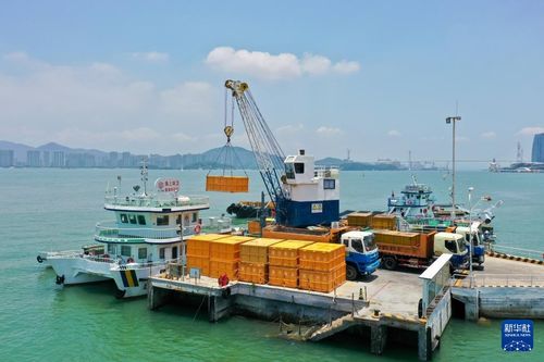 海上美容師 廈門海上環衛站守護碧海銀灘